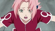 Sakura pleas to Naruto and Sasuke to stop their fight.