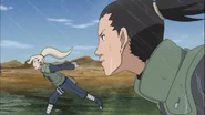 Shikamaru tells Ino that they have to stop Yota.