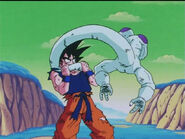 Dbz89-21