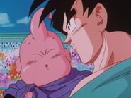 DragonballZ-Episode290 130