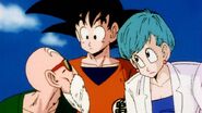 DragonballZ-Episode002ws 108