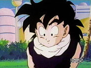 HappyGohan 3