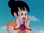 Chi Chi tried to find her son, Gohan.