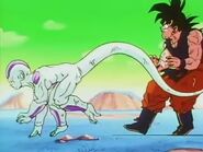 Dbz075-(017812)17-55-32-