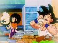 Chi-Chi washing dishes
