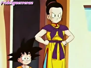 Chi-Chi doesn't like Videl