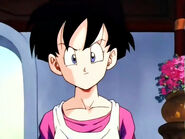 Videl is very confused about Krillin and Gohan with their past