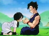 Gohan with Videl after showing her his Ki