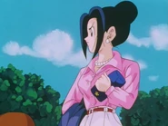 Chi-Chi is mad Goku is watching an egg