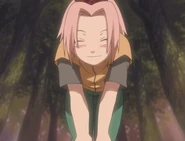 Sakura tells Ino that there is a rumor about Sasuke liking girls with long hair.