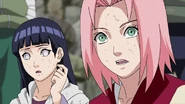 Sakura is shock as Katsuyu tells her and the others that Naruto doesn't want them interfering with his plan to talk to Nagato.