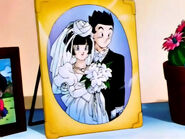 Videl married to Gohan