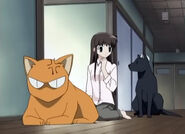 Kyo gets angry at Shigure for explaining about the Sohma Family Curse in front of Tohru.