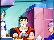 Future Gohan before he eats.