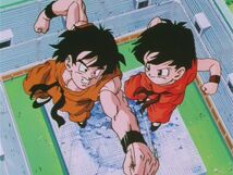 DragonballZ-Episode291 649