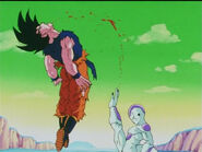 Dbz92-06