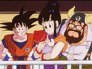 Chi-Chi with her family when Gohan is born.