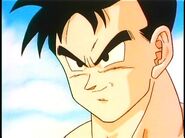 Future Gohan possibly thinking about his mother.