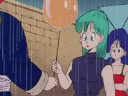 Bulma sees an old friend