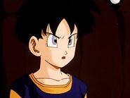 Videl asked Bulma about the Dragon Balls