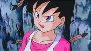 Videl mad