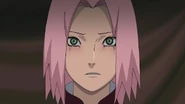Sakura tells Shikamaru to leave Naruto to her.