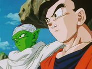 Gohan asking Piccolo if the battle is over