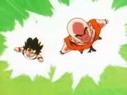 Krillin And Gohan Flies