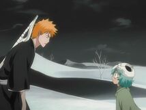 Bleach 146-023