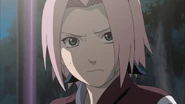Sakura is shock that Naruto met Orochimaru while searching for Tsunade.