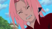 Sakura begs Naruto to bring Sasuke back to Konoha.