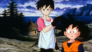 Videl introduces herself to the Natade Village