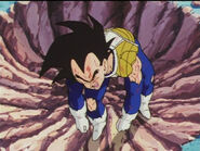 Vegeta on the ground