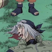Mizuki Japanese Anime Wiki Fandom