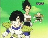 Vegeta with Gohan and Krillin to watch Piccolo fighting Frieza