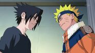 The rivalry between Naruto and Sasuke after Naruto took credit for their Land of Tea mission.