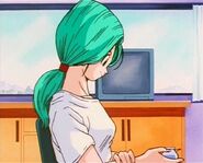 Future Bulma describing Goku to Trunks.