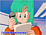 Bulma reads a paper