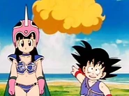 Chi-Chi meets Roshi