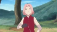 Sakura in Part II.