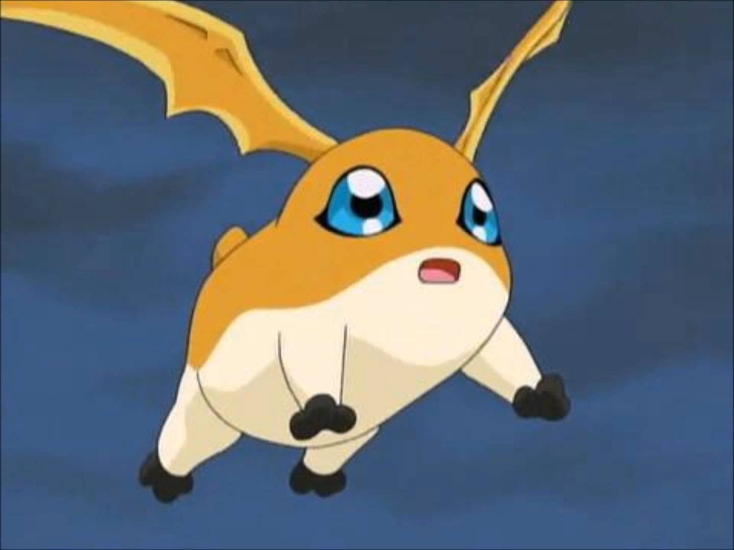 Patamon (Adventure:) - Wikimon - The #1 Digimon wiki