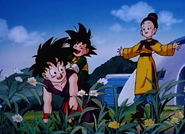 Gohan with his mother and brother