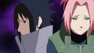 Sakura sadly reveals that she is still in love with Sasuke.