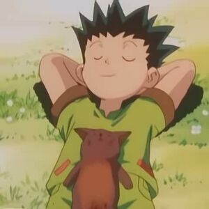 Konta Japanese Anime Wiki Fandom Looking to watch hunter x hunter (2011) anime for free? konta japanese anime wiki fandom