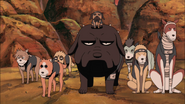 Kakashi summons his dogs to find Rin