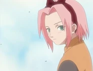 Sakura asking Ino if she has a crush on Sasuke as well.