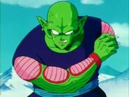 Piccolo injury 