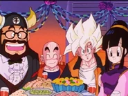Chi-Chi on Gohan's 11th birthday.