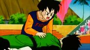 Gohan is injure