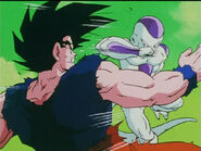 Dbz91-06